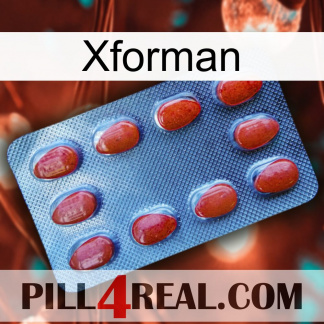 Xforman 06